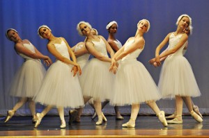 Swan Lake 2013